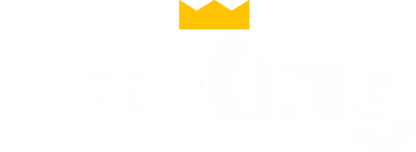 BetKing Login Logo